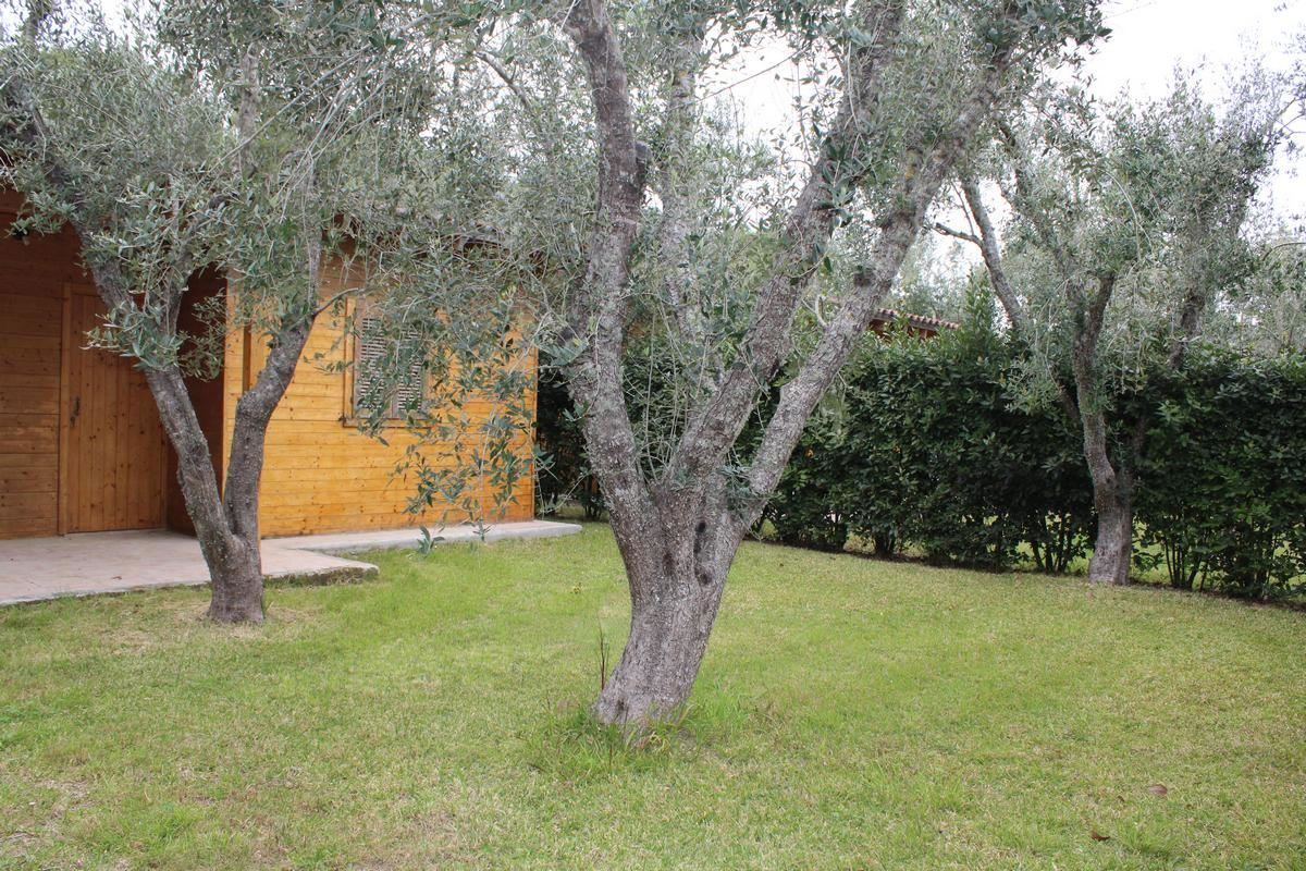 agriturismo salento lu podere